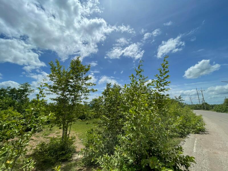 Land Kanchanaburi For Sale : Boploy 42-1-88 rai, Nice Land., Kanchanaburi