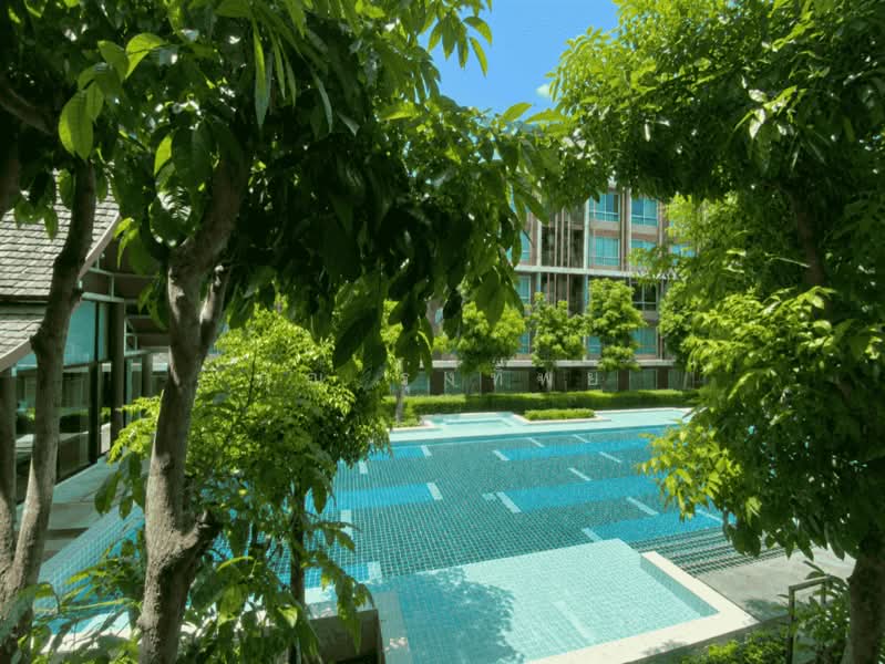D Vieng Santitham, Chiang Mai