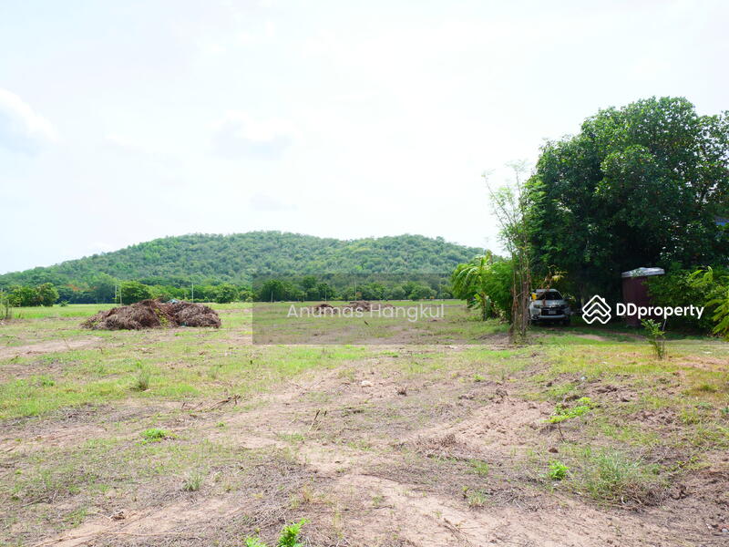 ริมน้ำ เดิมบางนางบวช, Suphan Buri