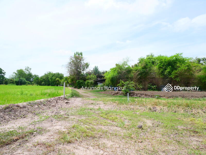 ริมน้ำ เดิมบางนางบวช, Suphan Buri