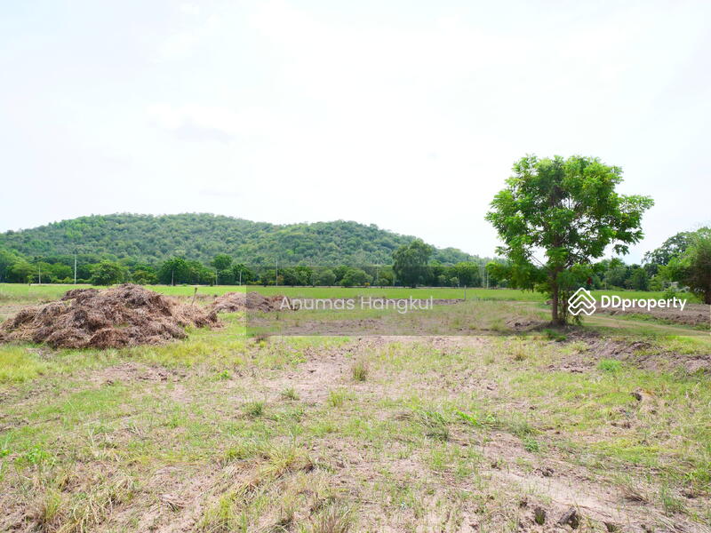 ริมน้ำ เดิมบางนางบวช, Suphan Buri