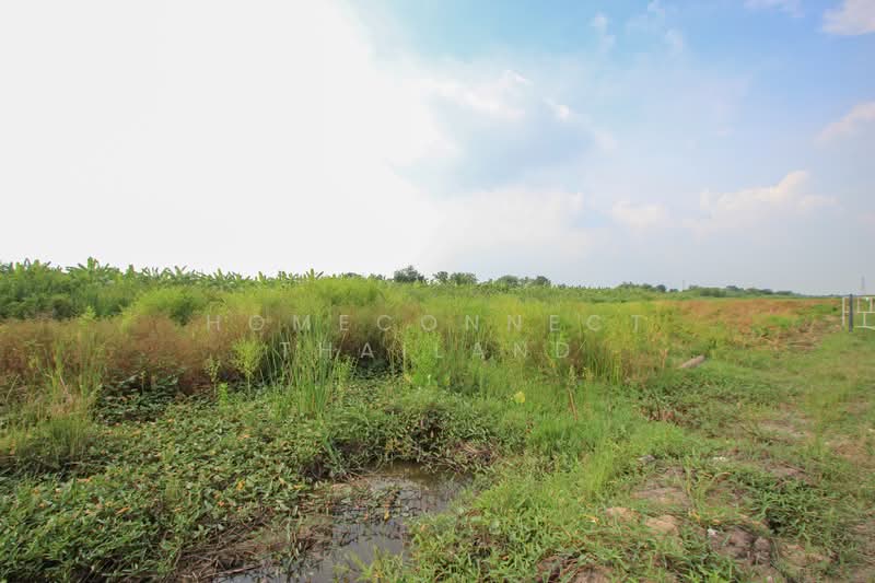 Land for Sale in Rangsit - Nakhon Nayok Road, Pathum Thani