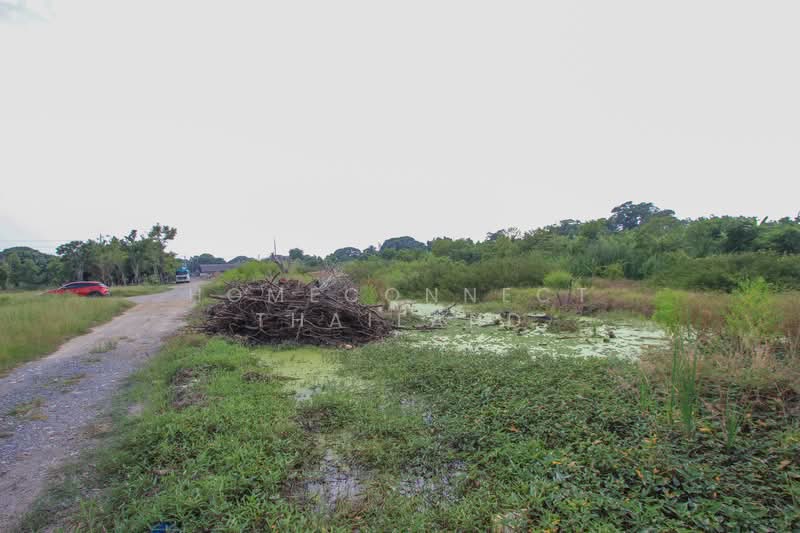 Land for Sale in Rangsit - Nakhon Nayok Road, Pathum Thani