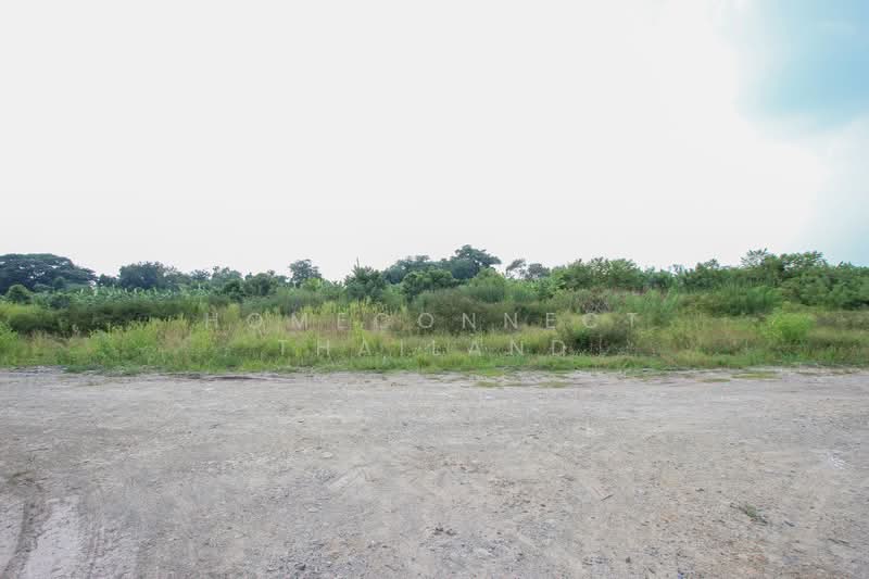 Land for Sale in Rangsit - Nakhon Nayok Road, Pathum Thani