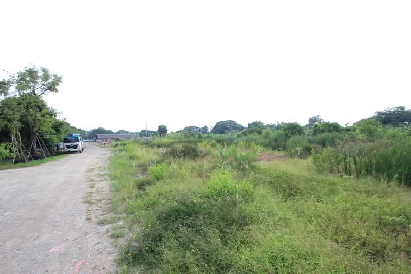 Land for Sale in Rangsit - Nakhon Nayok Road, Pathum Thani