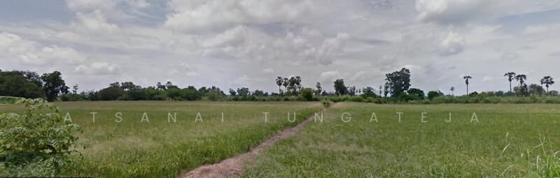ขายที่ดิน 5 ไร่ อ.เก้าเลี้ยว จ.นครสวรรค์, Nakhon Sawan