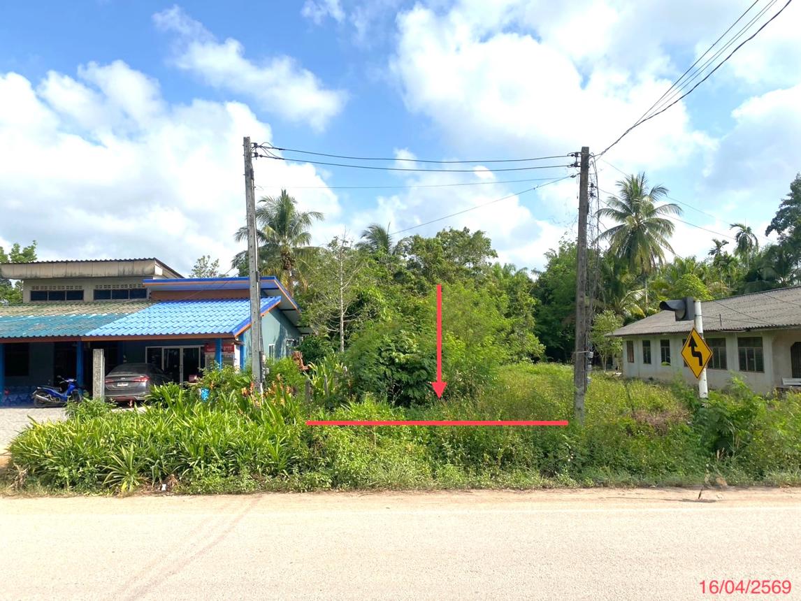 Vacant land, Bun Bong Forest, Phatthalung Province