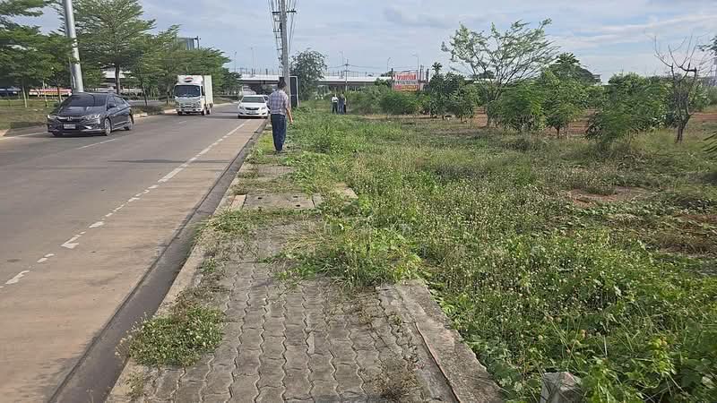 ขายที่ดินพร้อมต้นมะม่วง 200 ต้น ต.สมอแข อ.เมือง จ.พิษณุโลก, Phitsanulok