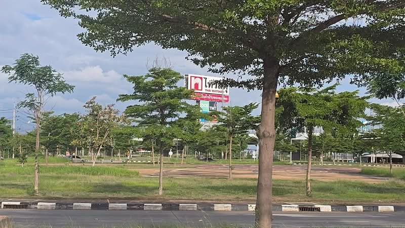 ขายที่ดินพร้อมต้นมะม่วง 200 ต้น ต.สมอแข อ.เมือง จ.พิษณุโลก, Phitsanulok