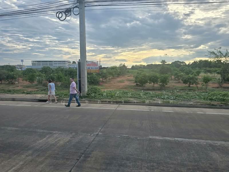 ขายที่ดินพร้อมต้นมะม่วง 200 ต้น ต.สมอแข อ.เมือง จ.พิษณุโลก, Phitsanulok