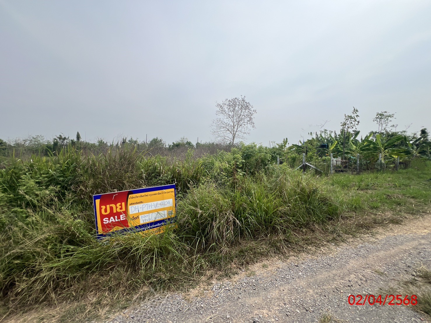 Empty land in Nong Sam Wang Tai, Pathum Thani