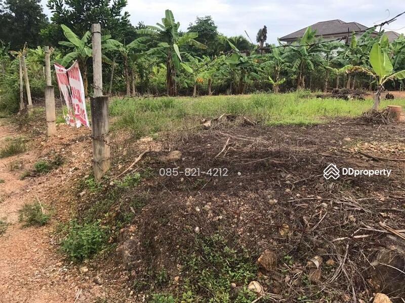 Land for sale, 99 square wah, Hat Yai Village. Cluster House Good, Songkhla