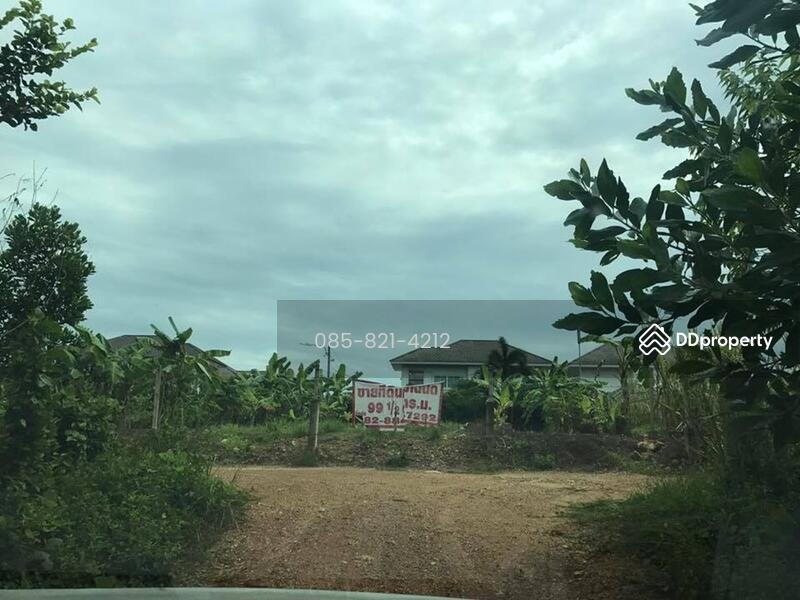 Land for sale, 99 square wah, Hat Yai Village. Cluster House Good, Songkhla