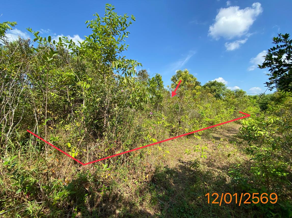 Vacant Land in Krabi City, Krabi