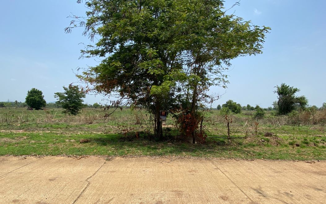 ที่ดินเปล่า โครงการสวนเกษตรศรีหริภุญชัย จังหวัดลำพูน