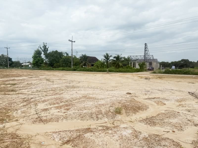 ที่ดินเหมืองง่า ลำพูน, Lamphun