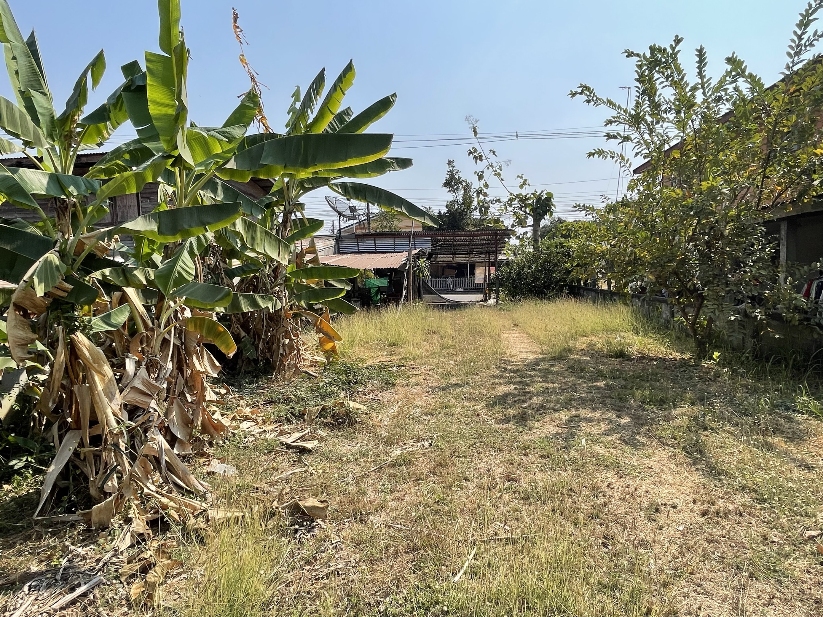 ที่ดินเปล่าชัยภูมิ