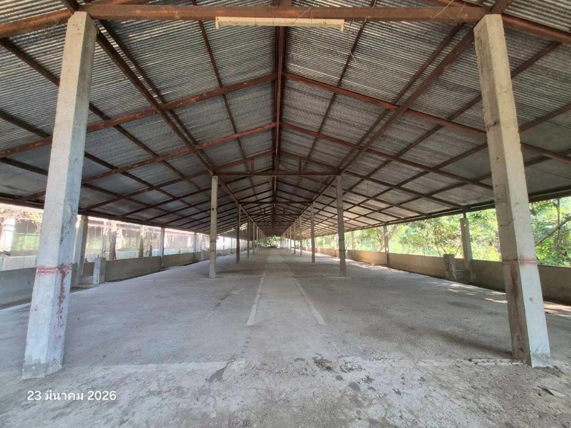Warehouse Veangchai Chiang Rai 

Located in the heart of Chiang Rai, this 2-storey warehouse serves as an ideal storage and logistics solution for businesses. The property features a total floor area of 1,200 square meters, divided into 6 units with a ceiling height of 6 meters. 

The warehouse is situated on a 10-are plot of land, offering ample parking space and easy access to the Chiang Rai city center. The property is surrounded by industrial estates and warehouses, making it an ideal location for businesses looking to expand their operations in the region.

The property features a range of amenities, including