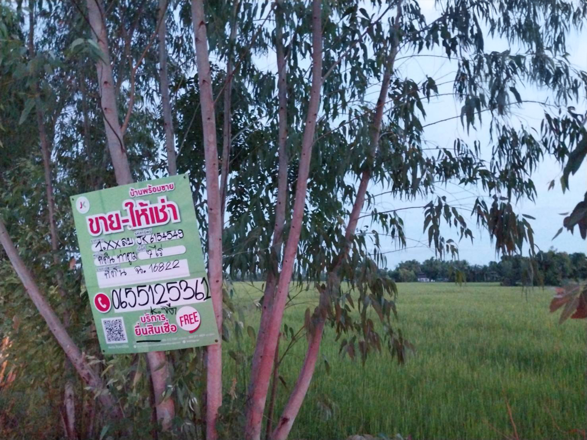 Vacant Land in Surin Province, Tatum District, Surin Province