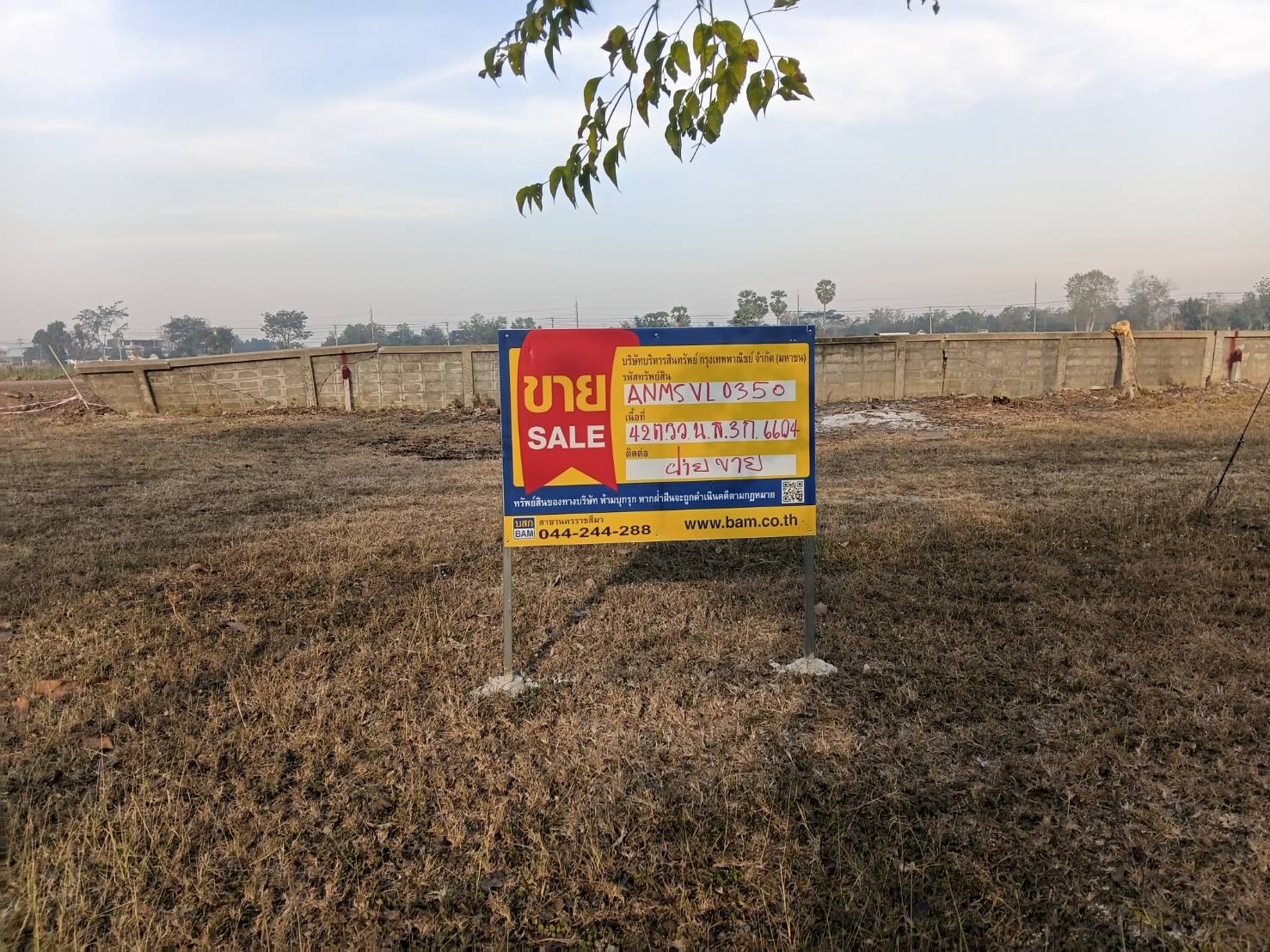 Empty land, Ing Thar Project, Nakhon Ratchasima