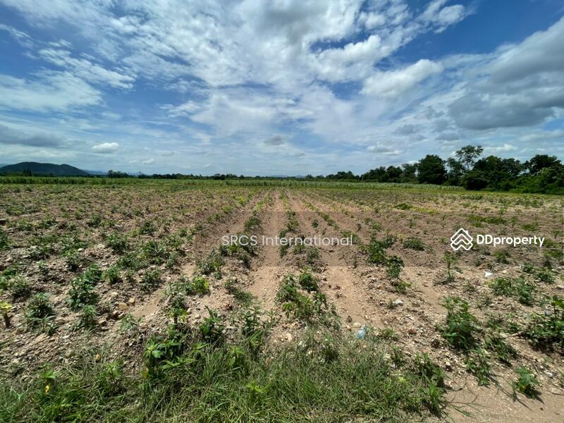 Land for sale, Bo Ploy, Kanchanaburi 10 Rai, Connect to Route 3086, Nice Land, Good for investment., Kanchanaburi