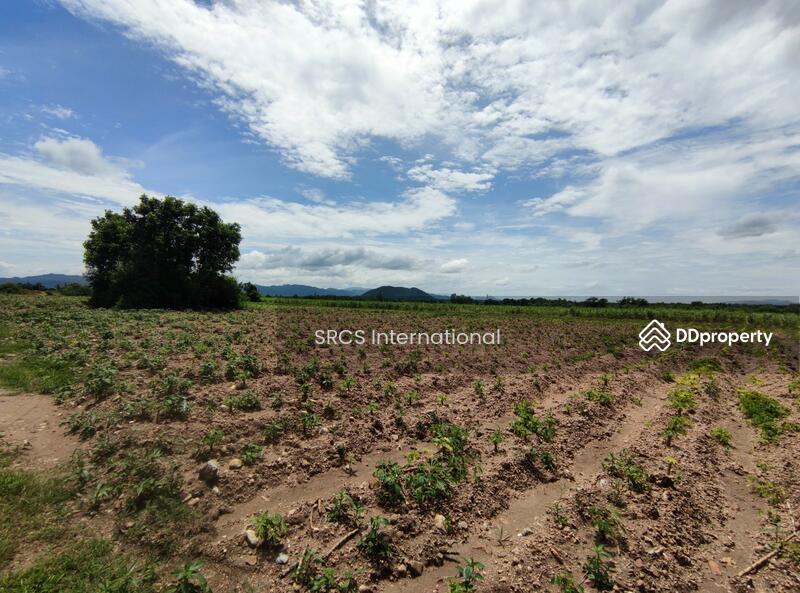 Land for sale, Bo Ploy, Kanchanaburi 10 Rai, Connect to Route 3086, Nice Land, Good for investment., Kanchanaburi