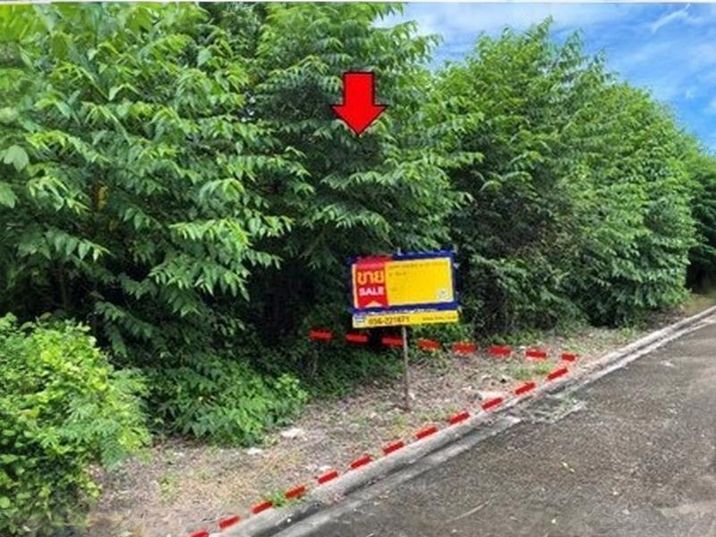 Empty land, Nanta Project, Nakhon Nayok #Public Property