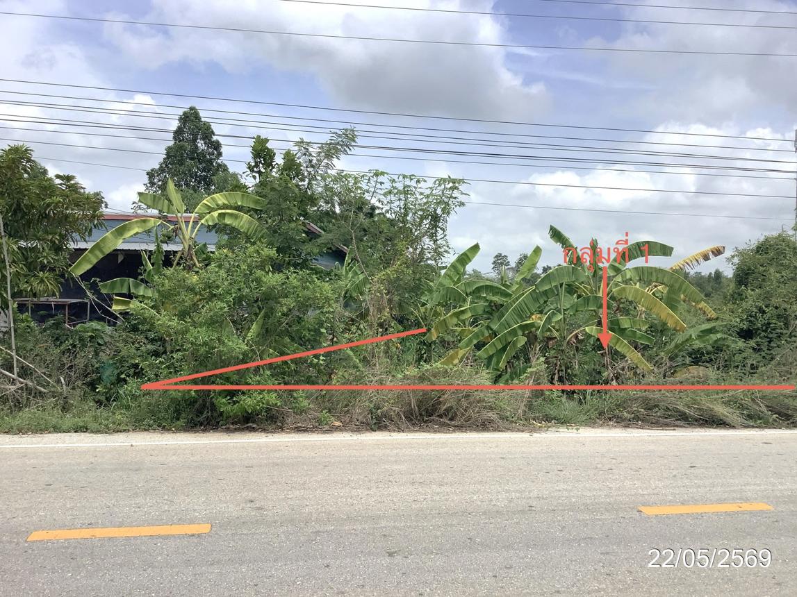 Empty land for sale in Khlong Khlu, Kamphaeng Phet Province.