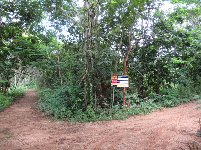 Empty land, Misty Hill project, Chiang Mai