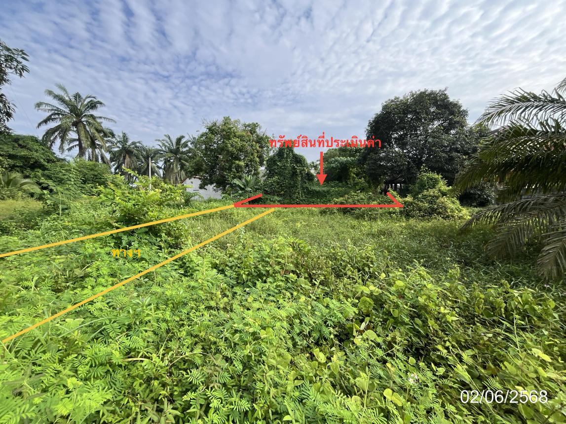 Vacant Land, Prasae, Surat Thani