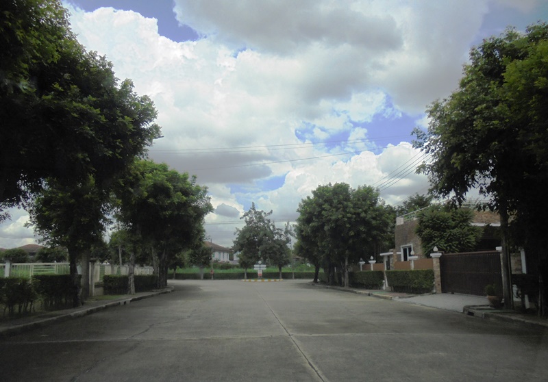 บ้านเดี่ยว โครงการธัญธานี โฮมออนกรีนวิลเลจ 2