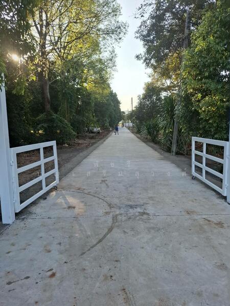 ที่ดินเขาวง แปลงสวย200ตรว. แปลงละ2.2ล้าน, Nakhon Ratchasima