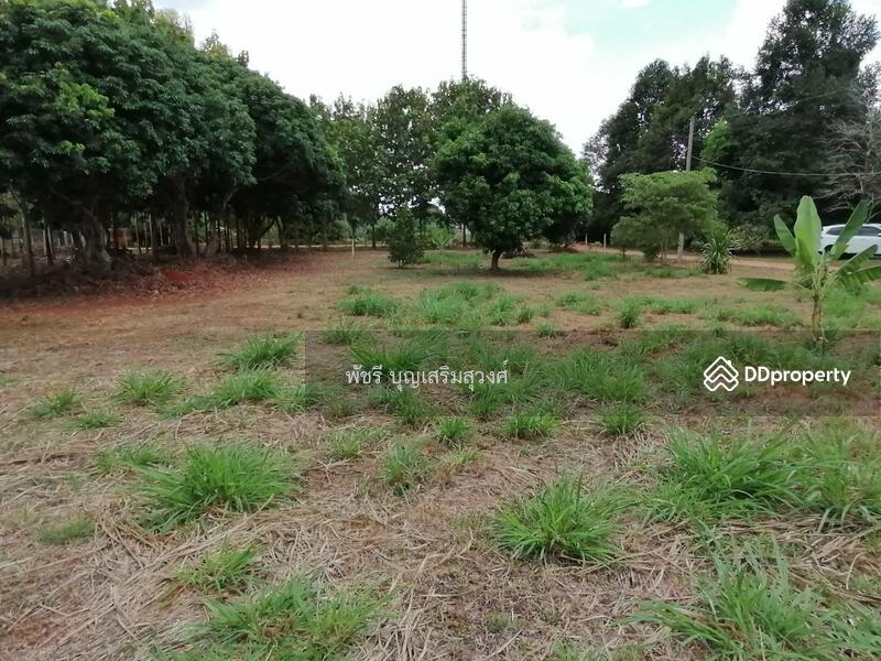 ที่ดินเขาวง แปลงสวย200ตรว. แปลงละ2.2ล้าน, Nakhon Ratchasima