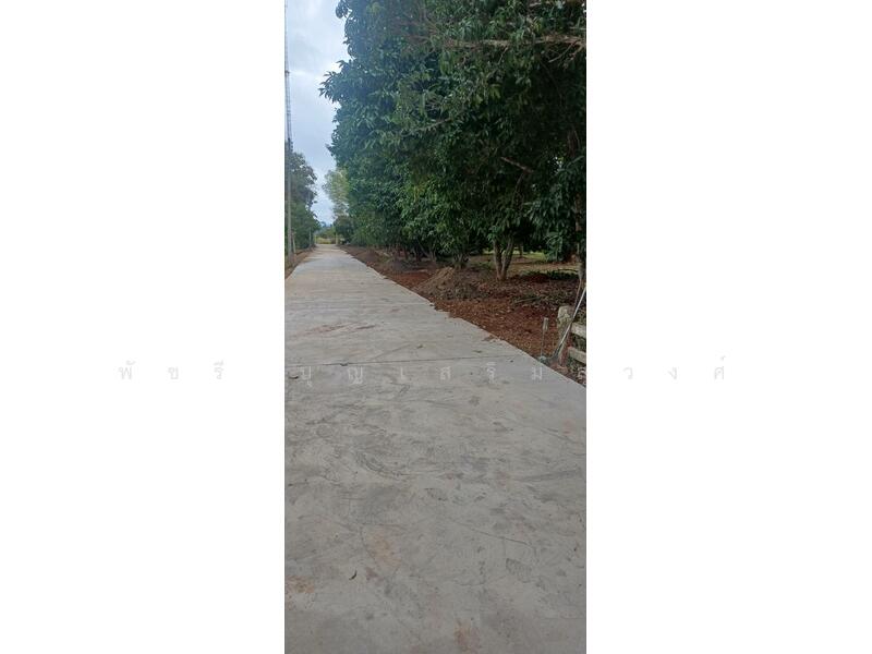 ที่ดินเขาวง แปลงสวย200ตรว. แปลงละ2.2ล้าน, Nakhon Ratchasima
