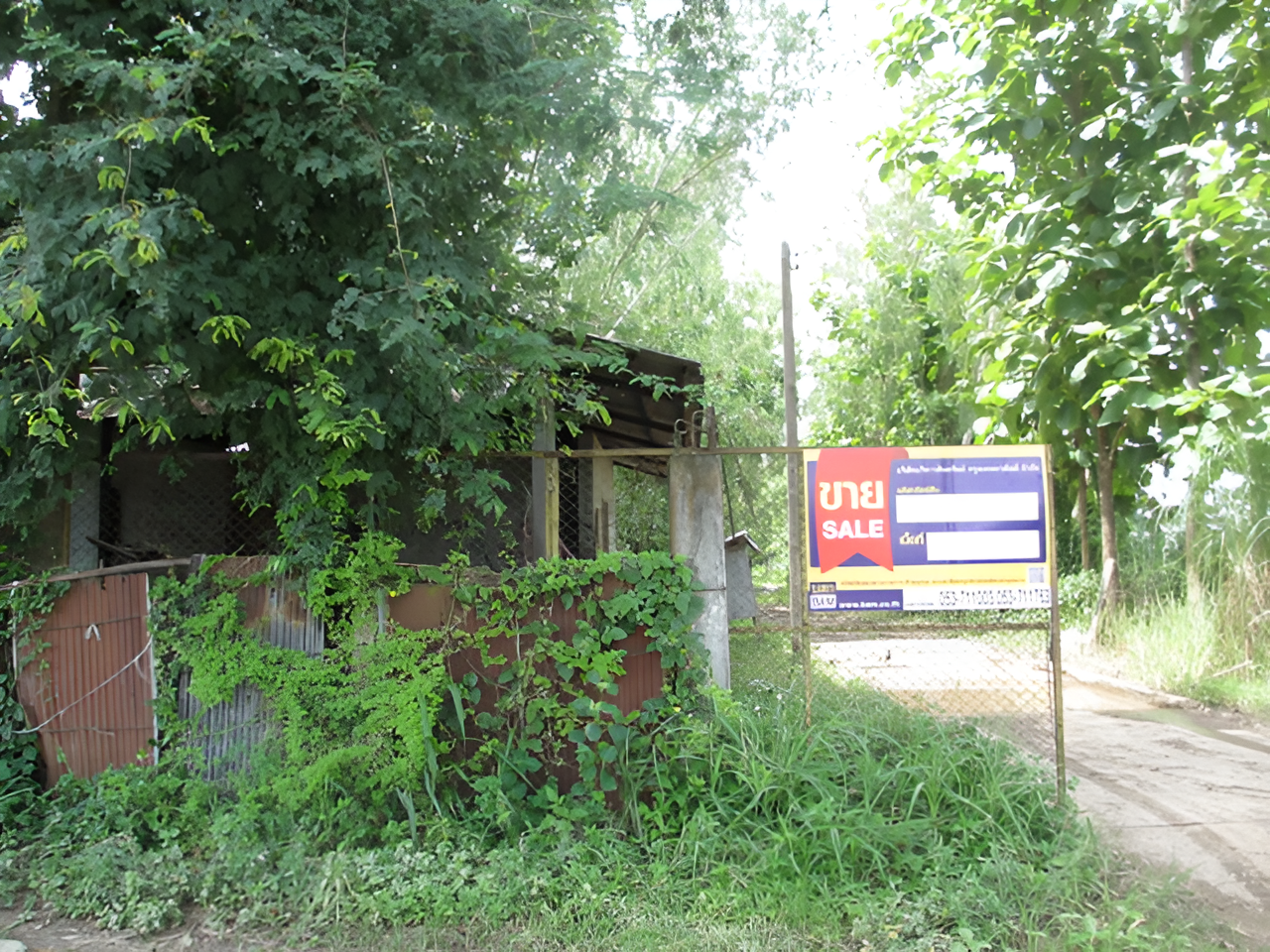 Single House Mae Kham Chiang Rai