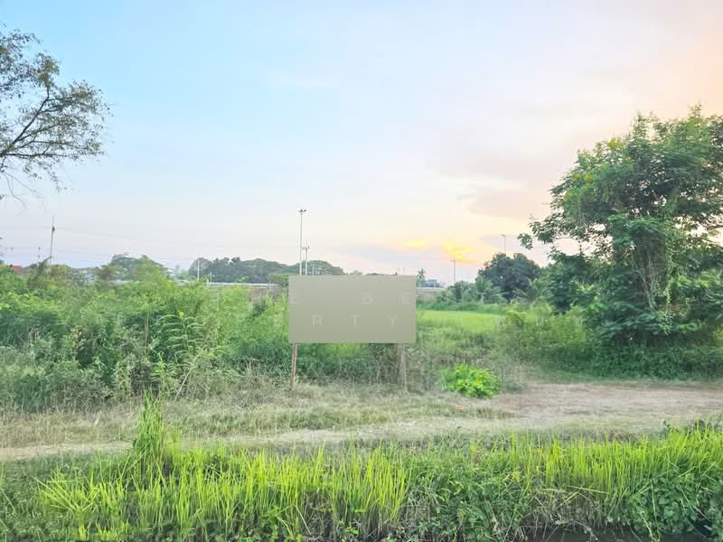 ที่ดินโพรงมะเดื่อ นครปฐม, Nakhon Pathom