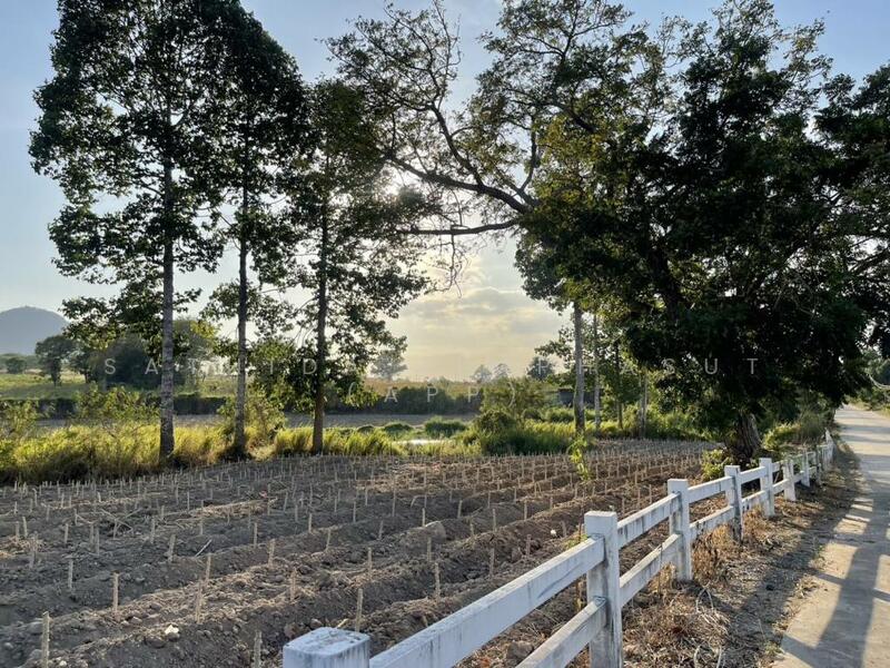 Land in Huai Yai, chon-buri