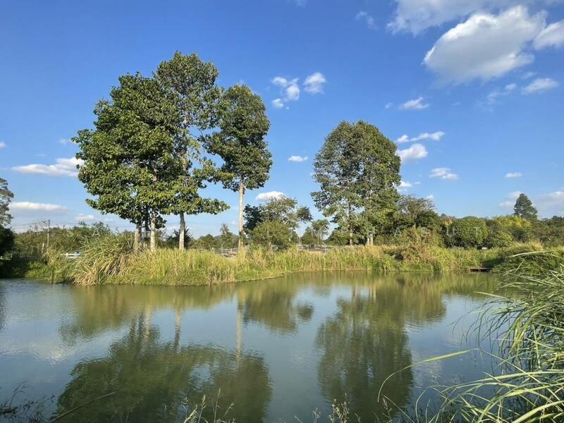 Land in Huai Yai, chon-buri