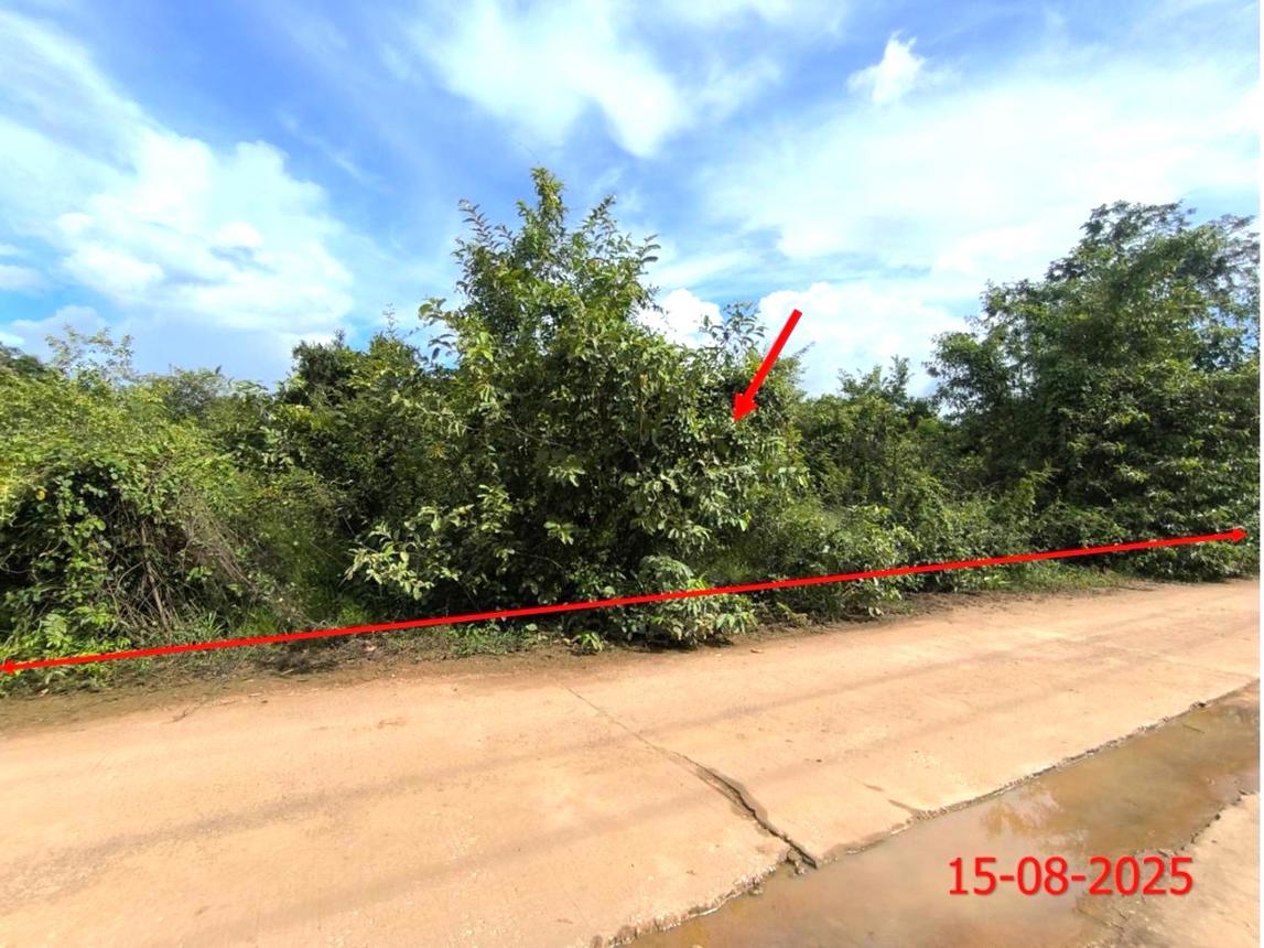 Vacant land, Arunrungsawan House, Lamphun District, Lamphun Province
