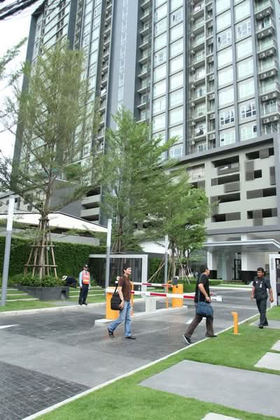 Hive Sathorn, Bangkok