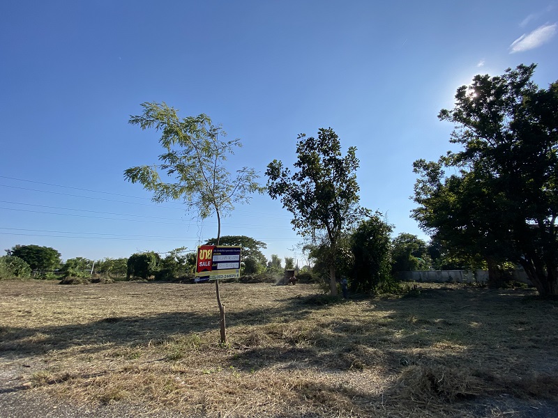 Empty land, Benjarong Village Project, Chiang Mai