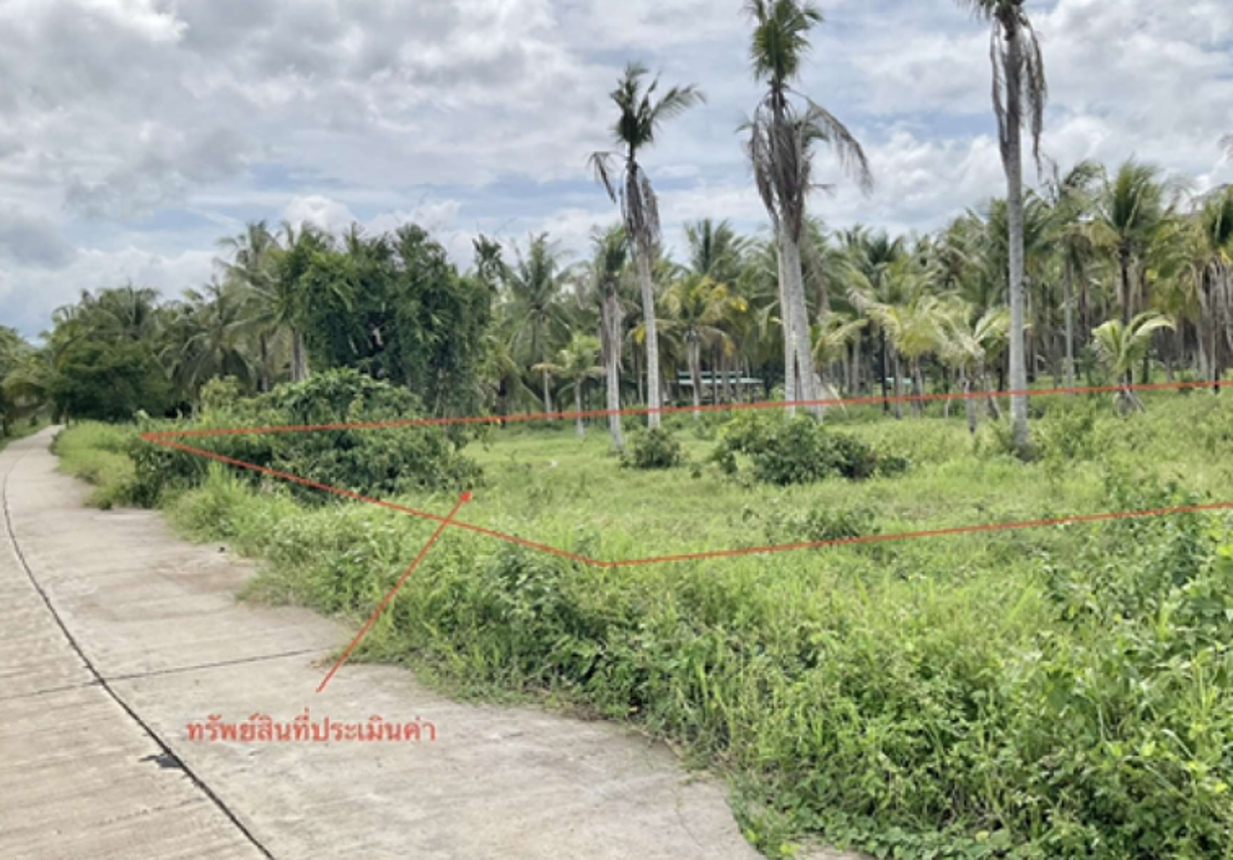 ที่ดินว่างเปล่า บางสะพาน ประจวบคีรีขันธ์