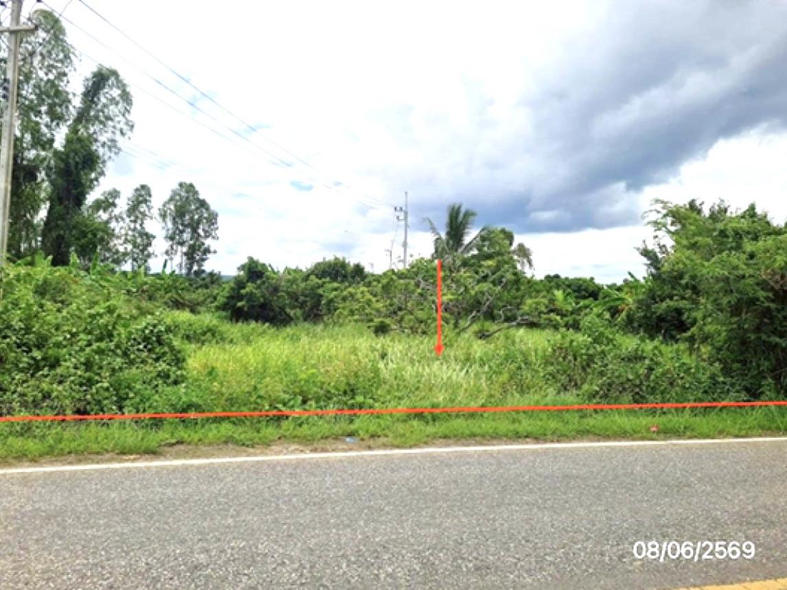 Empty Land for Sale in Thoeng, Chiang Rai