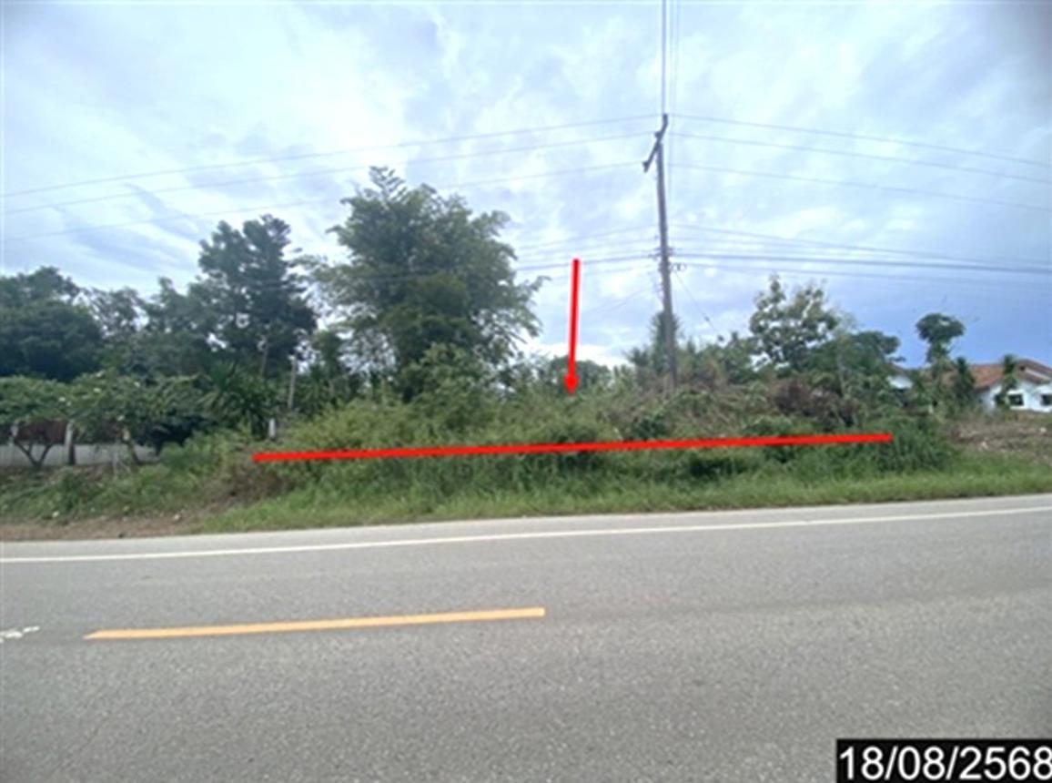 Empty land for sale in Wang Sapung, Loei