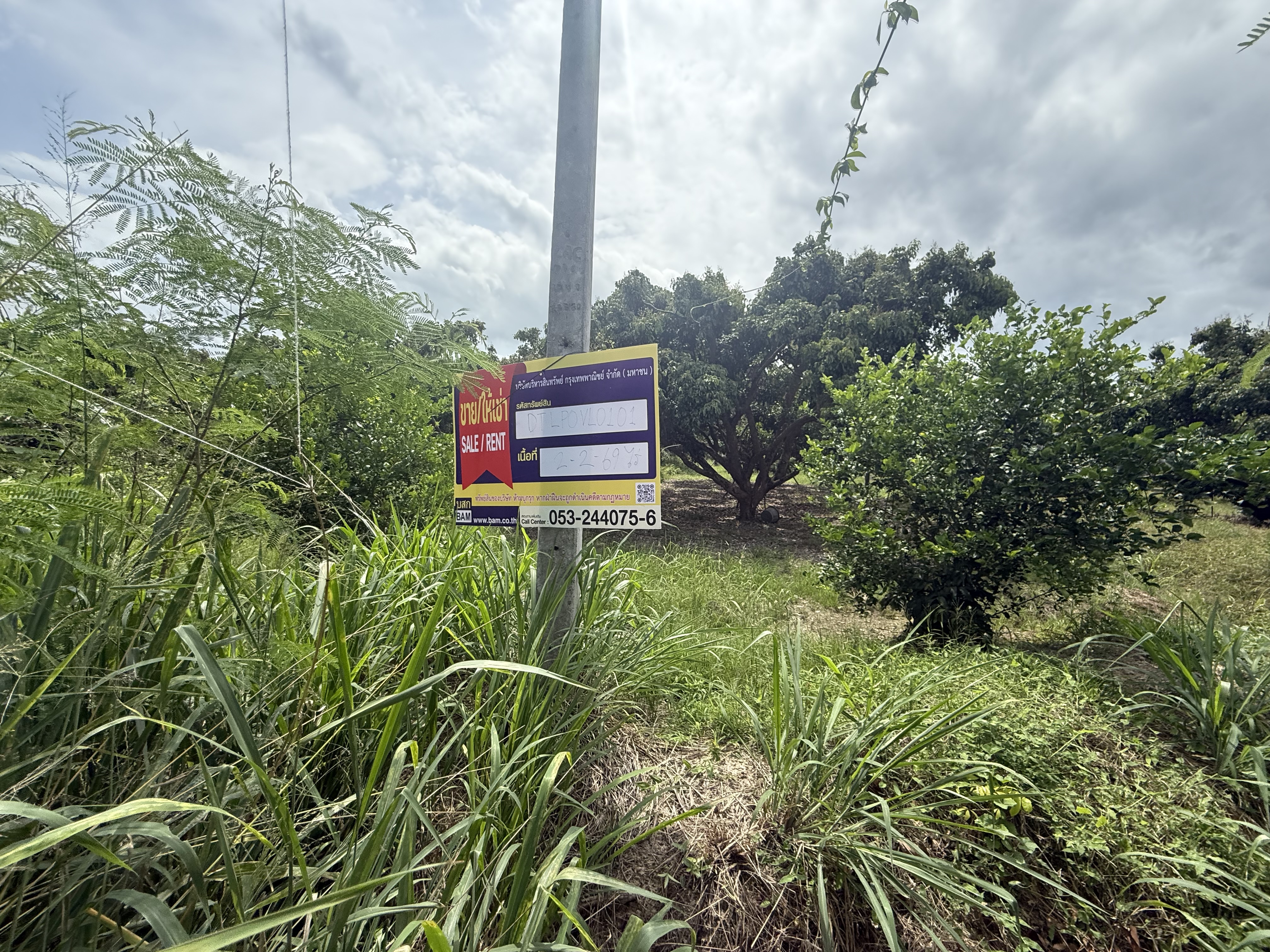 2 plots of land next to each other at Wong Yang Subdistrict, Lamphun Municipality.