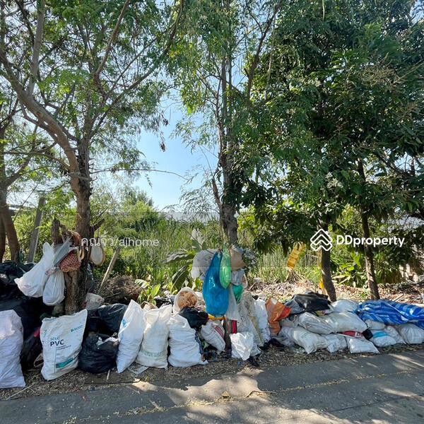 ขายถูกมาก ที่ดินเปล่า122ตรว. ซ.ธรรมสุธีร์7 ถ.เมืองปทุมธานี-บางคูวัด, Pathum Thani