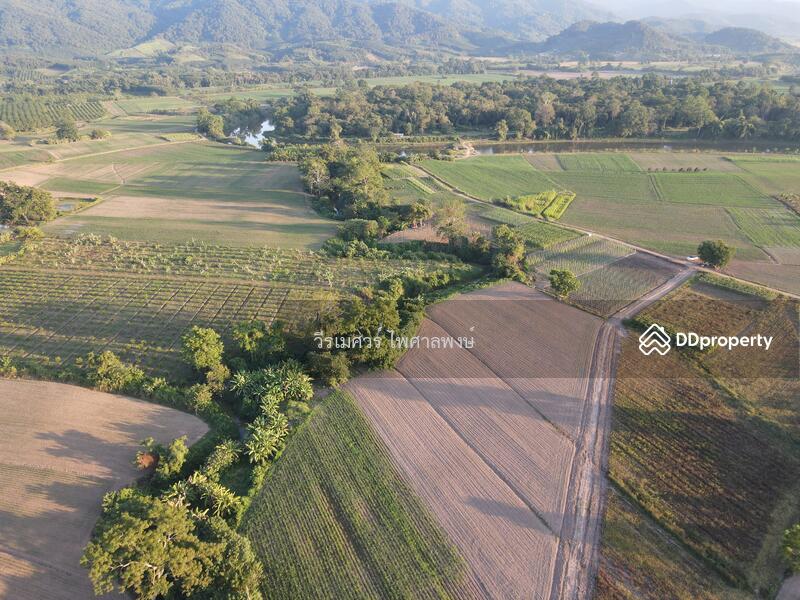 ที่ดินเชียงของ จังหวัดเชียงราย (วิวเขา ใกล้ริมโขง) 56-1-44 ไร่ ติดถนนสาธารณะ 2 ฝั่ง ถนนคอนกรีต 6 m., Chiang Rai