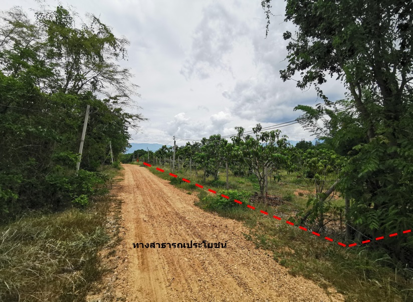 ที่ดินเปล่า โครงการบ้านหนองห่าย เชียงใหม่