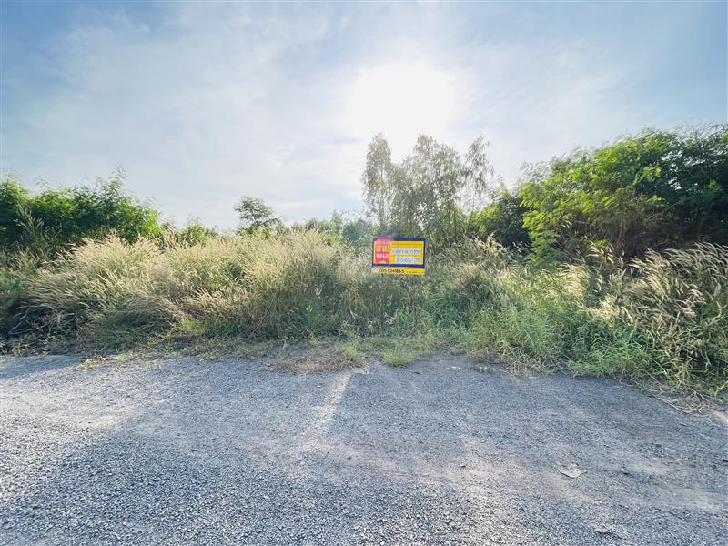 Vacant Land, Ayutthaya, Phra Nakhon Si Ayutthaya Province
