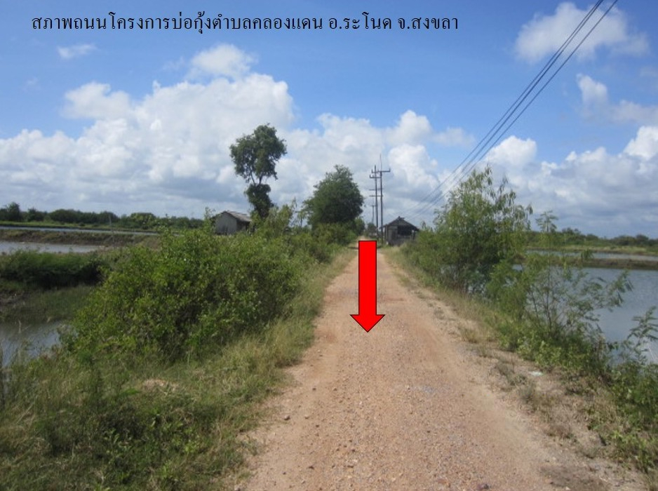 ที่ดินเปล่า โครงการกลุ่มเกษตรกรผู้เลี้ยงสัตว์น้ำ ระโนด สงขลา